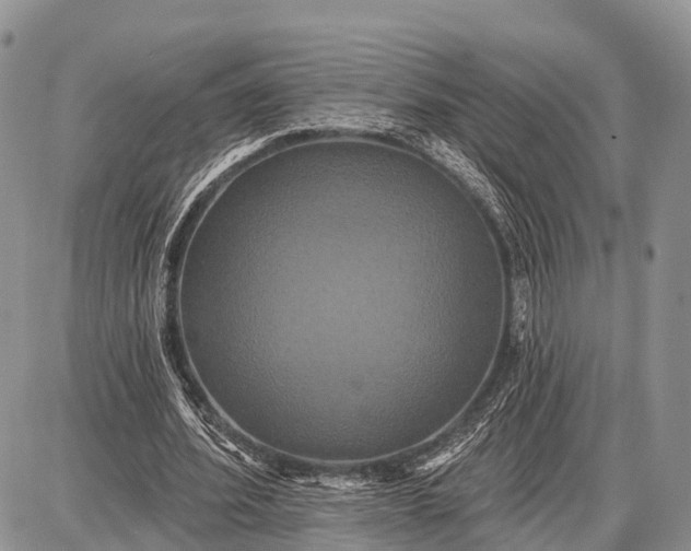 X0000087700580200705181822