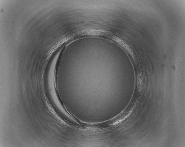 X0000087700581200705181822