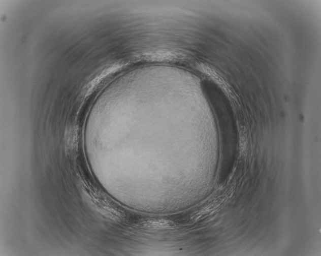 X0000087700583200705181822