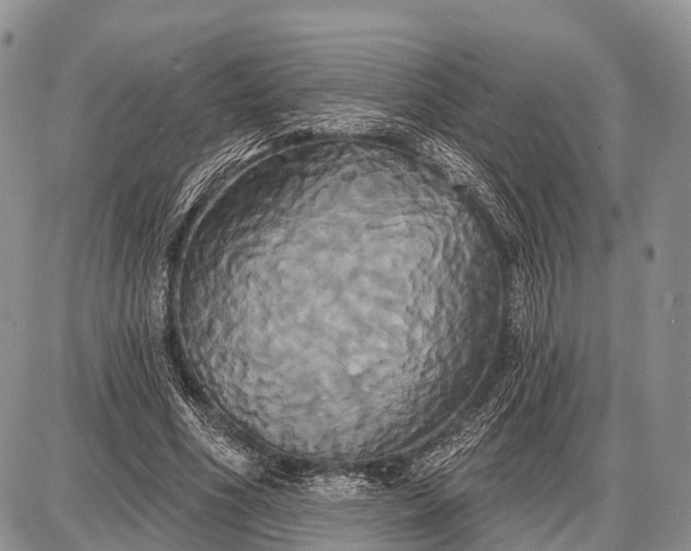 X0000087700586200705181822