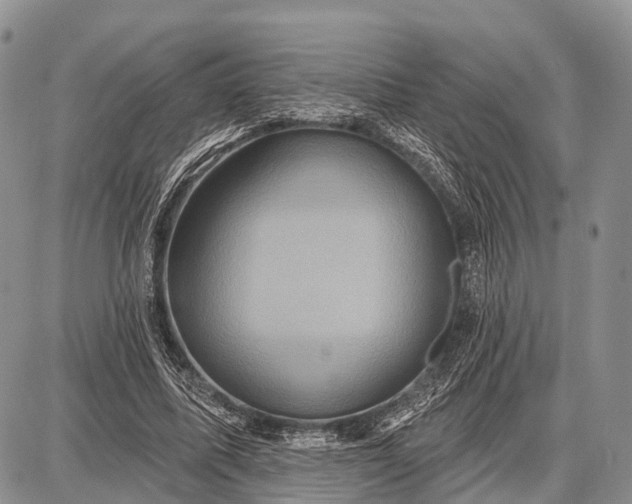 X0000087700587200705181822