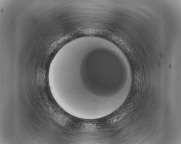 X0000087700592200705181822