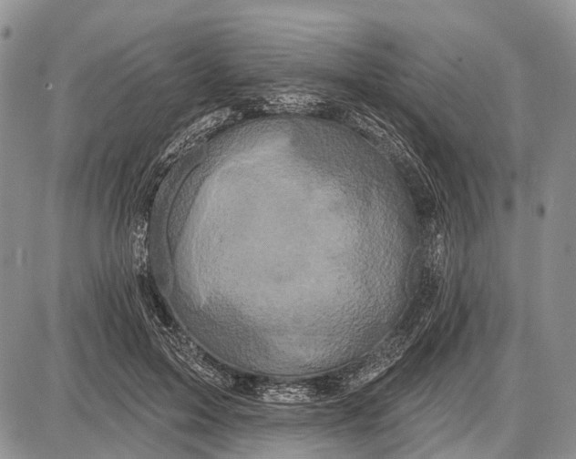 X0000087700599200705181821