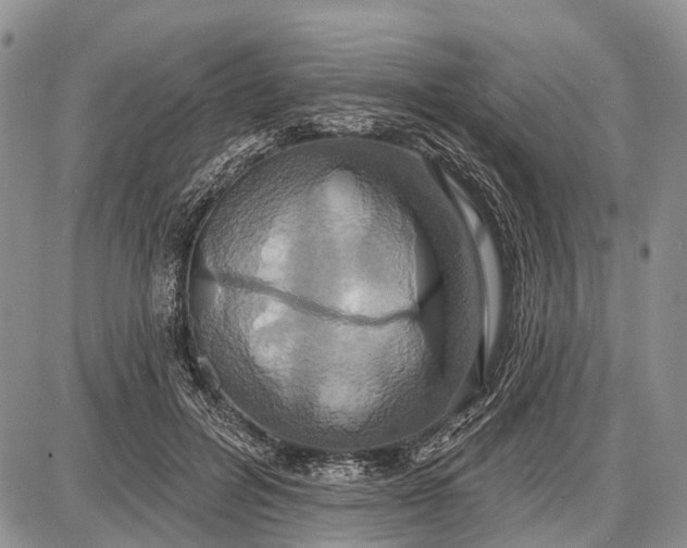 X0000087700600200705181821