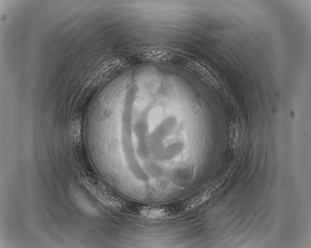 X0000087700602200705181821