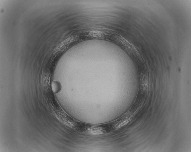 X0000087700603200705181821