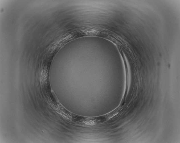 X0000087700604200705181821
