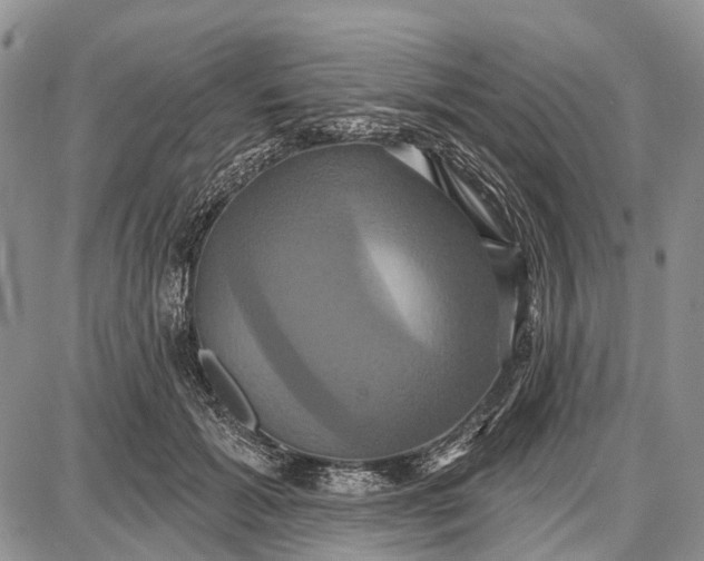 X0000087700605200705181821