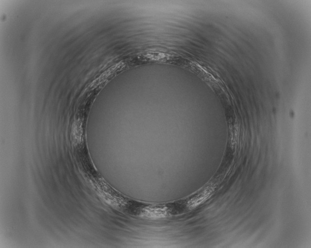 X0000087700606200705181821