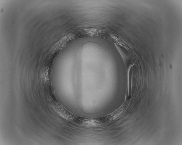 X0000087700611200705181821