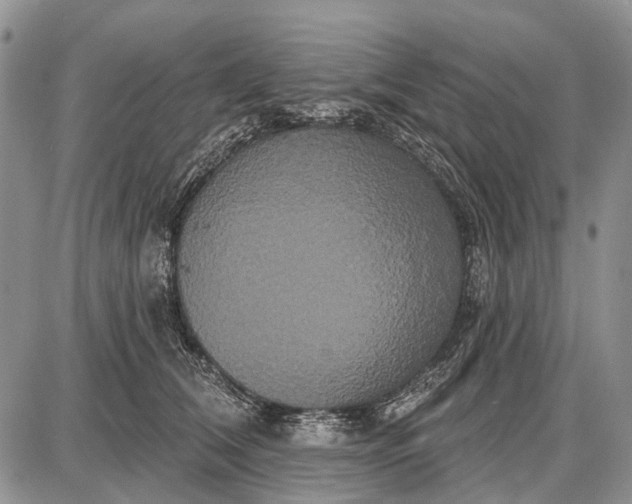 X0000087700612200705181821