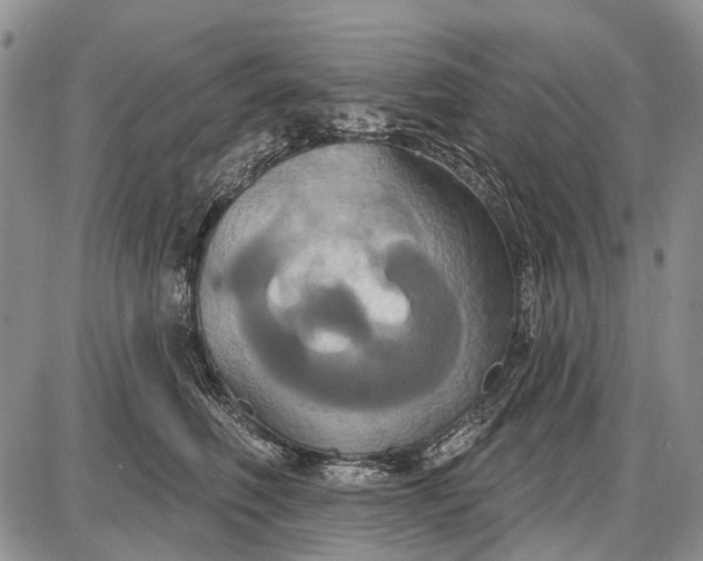 X0000087700614200705181821