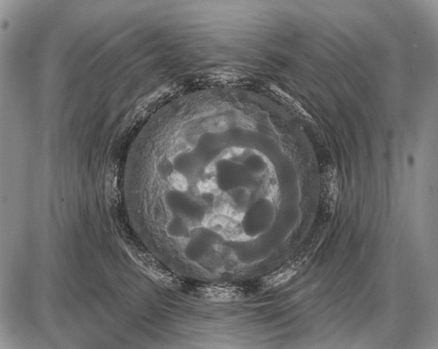 X0000087700615200705181821