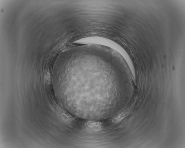 X0000087700617200705181821