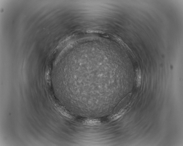 X0000087700619200705181821