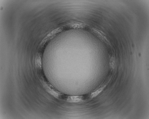 X0000087700622200705181821
