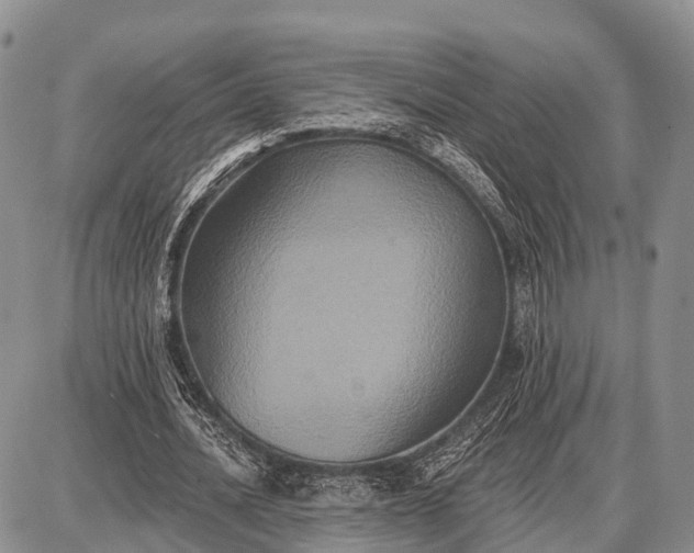 X0000087700628200705181820