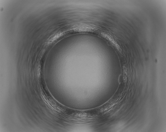X0000087700631200705181820
