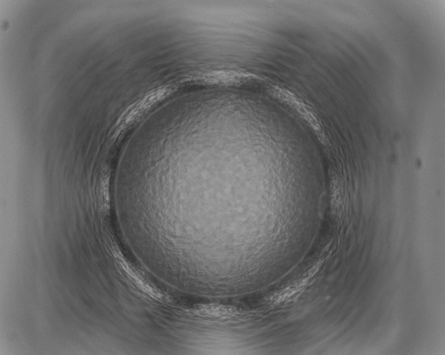 X0000087700633200705181820