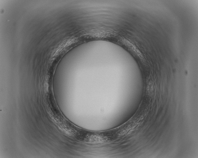 X0000087700635200705181820