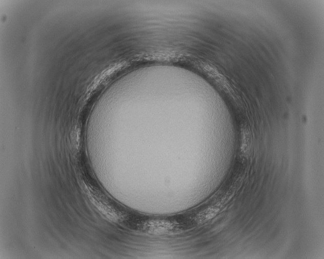 X0000087700636200705181820