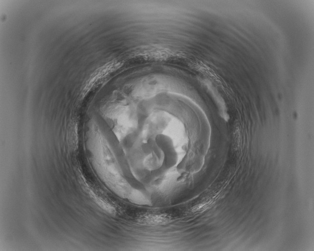 X0000087700638200705181820