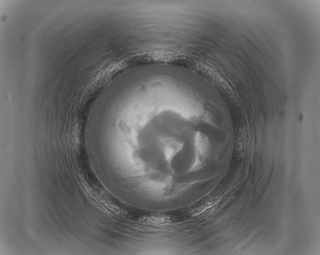X0000087700639200705181820