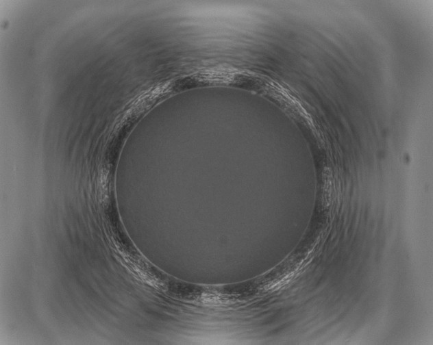 X0000087700641200705181820
