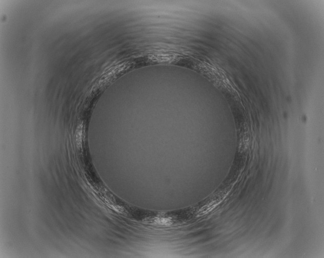 X0000087700647200705181821