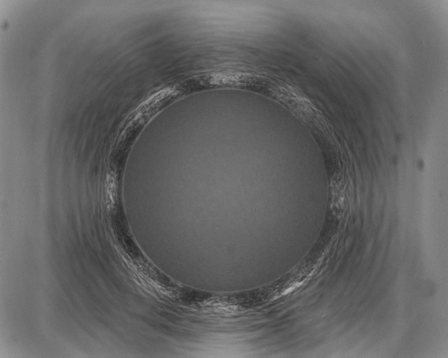 X0000087700648200705181821