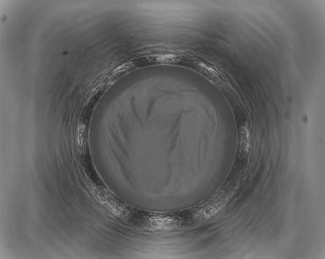 X0000087700650200705181821