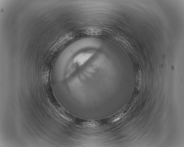 X0000087700652200705181821