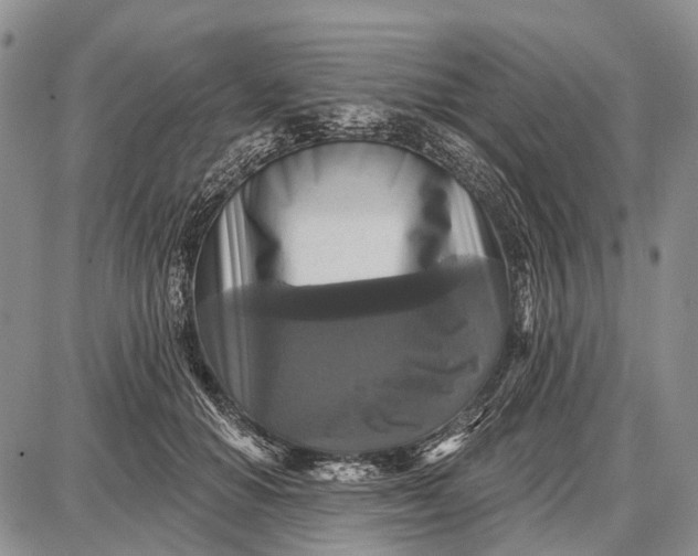 X0000087700654200705181821