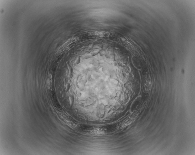 X0000087700656200705181821