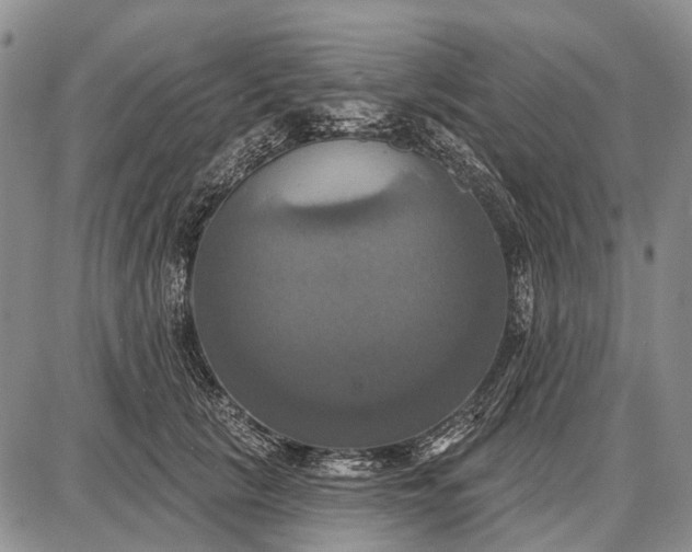X0000087700657200705181821