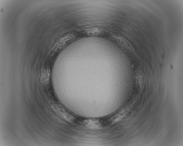 X0000087700660200705181821