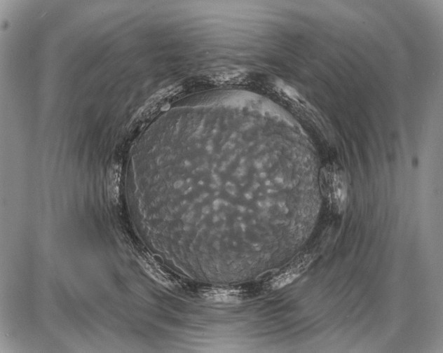 X0000087700664200705181821