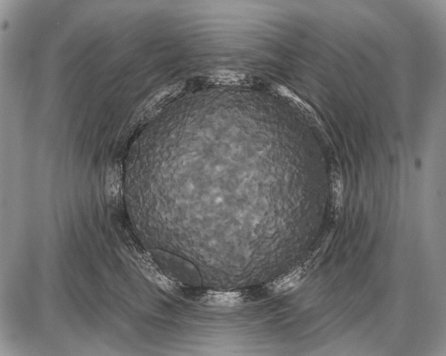 X0000087700665200705181821