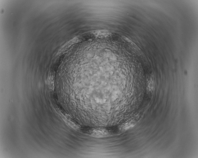 X0000087700666200705181821
