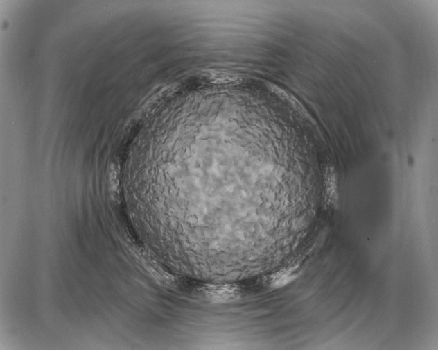 X0000087700667200705181821