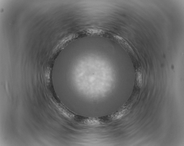 X0000087700668200705181821