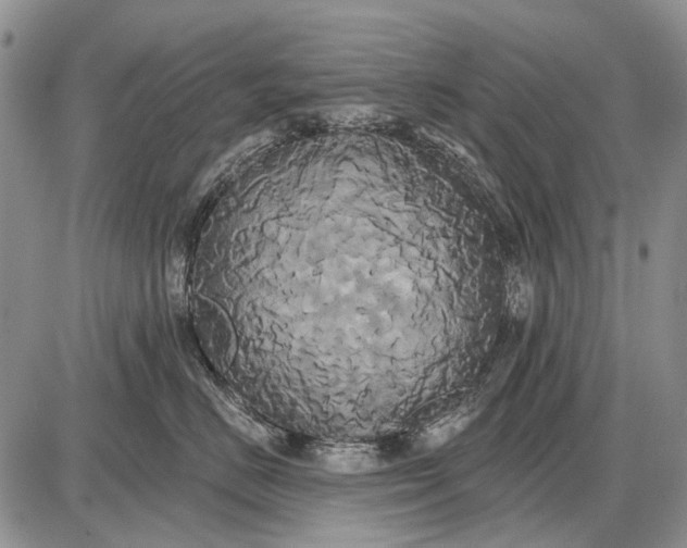 X0000087700670200705181821