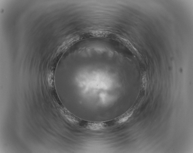 X0000087700671200705181821