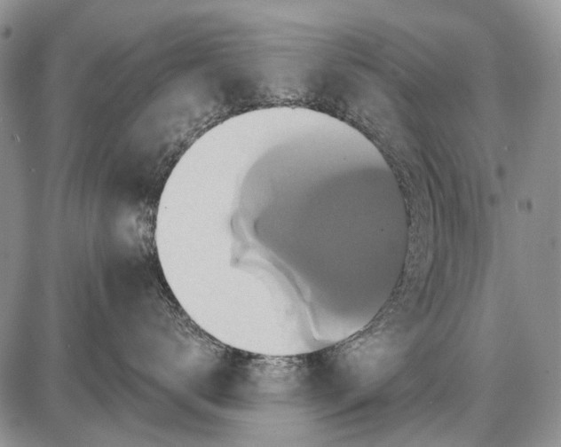 X0000087700672200705181821