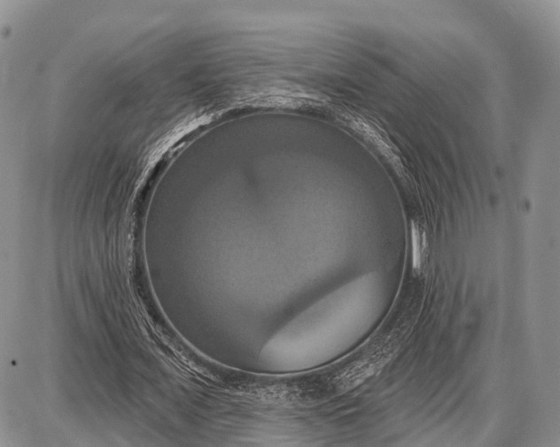 X0000087700675200705181820