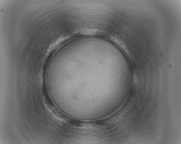 X0000087700682200705181820