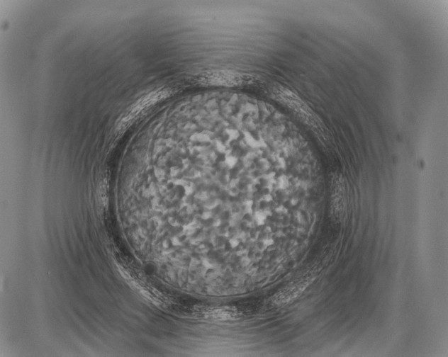 X0000087700683200705181820
