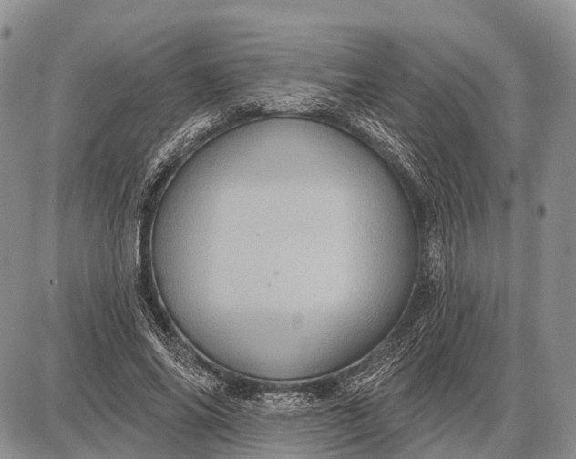 X0000087700686200705181820