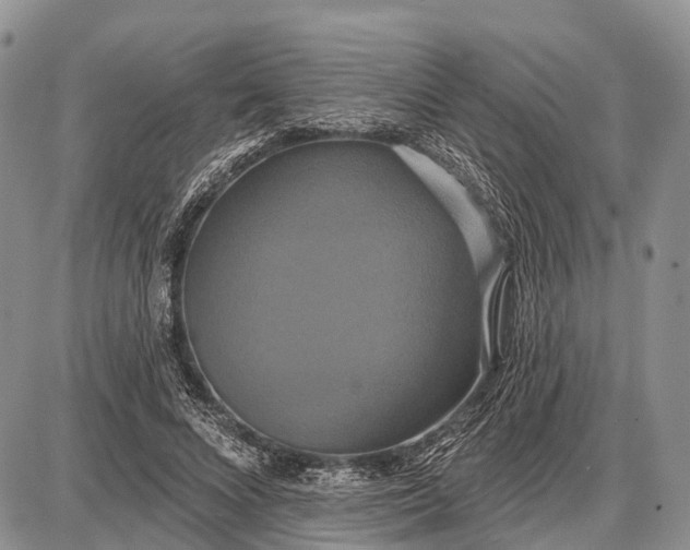 X0000087700688200705181820