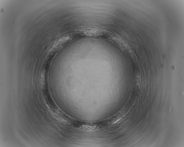 X0000087700690200705181820